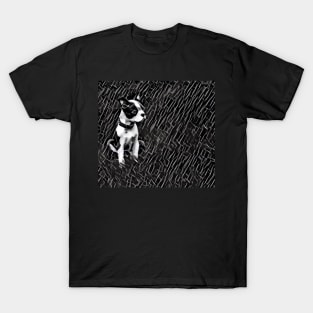 Puppy in Field T-Shirt